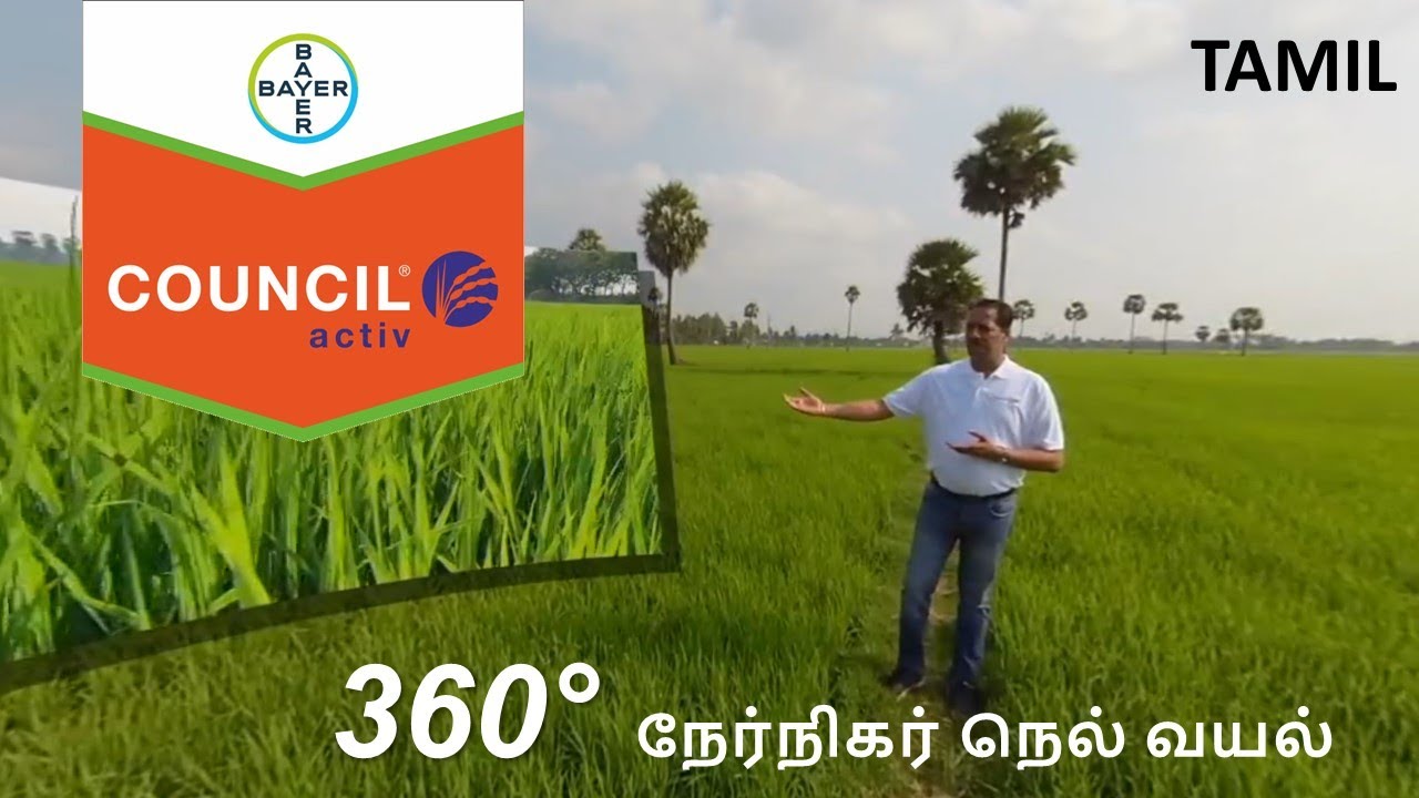 Council Activ- Virtual Paddy Field: How To Control Weeds In Paddy Crop (Tamil) | Bayer