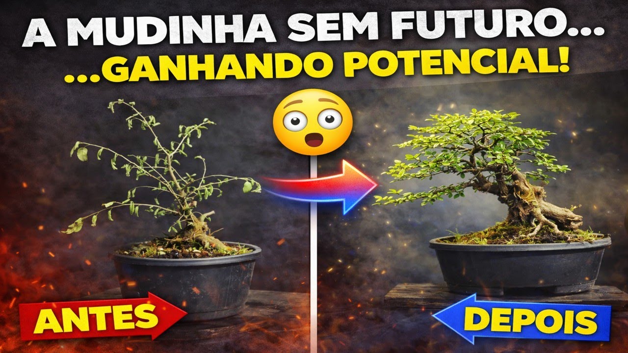 Uma Mudinha Sem Valor? O Projeto de Bonsai Que Pode Surpreender no Futuro
