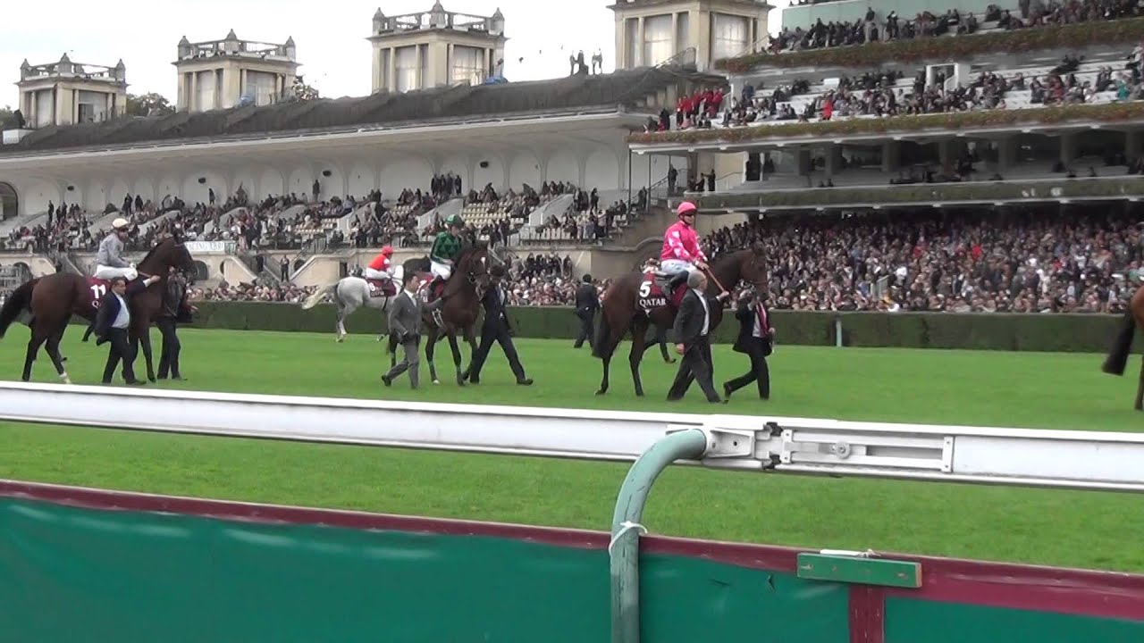 凱旋門賞2014 本馬場入場（ゴールドシップのみ隊列離れてスタンドへ・・・）