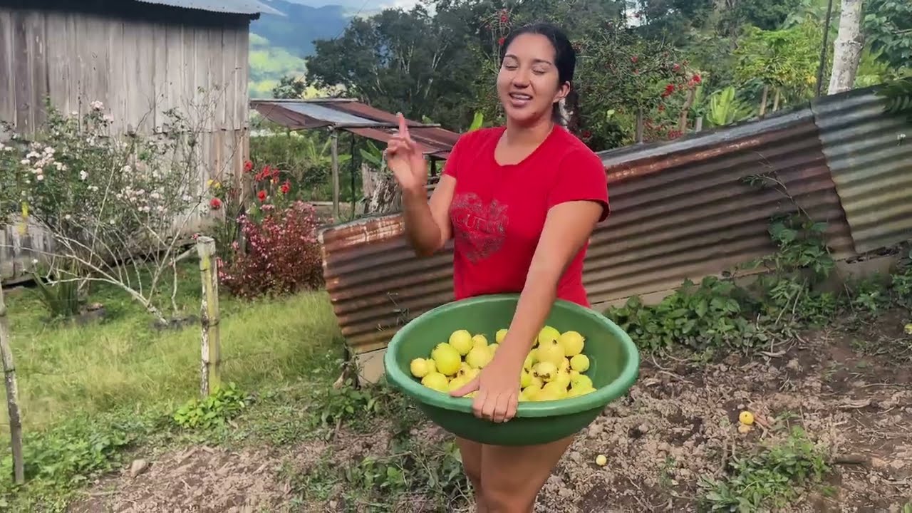 ¡Con Este Calor, Nada Como un Refresco Casero de Guayaba!