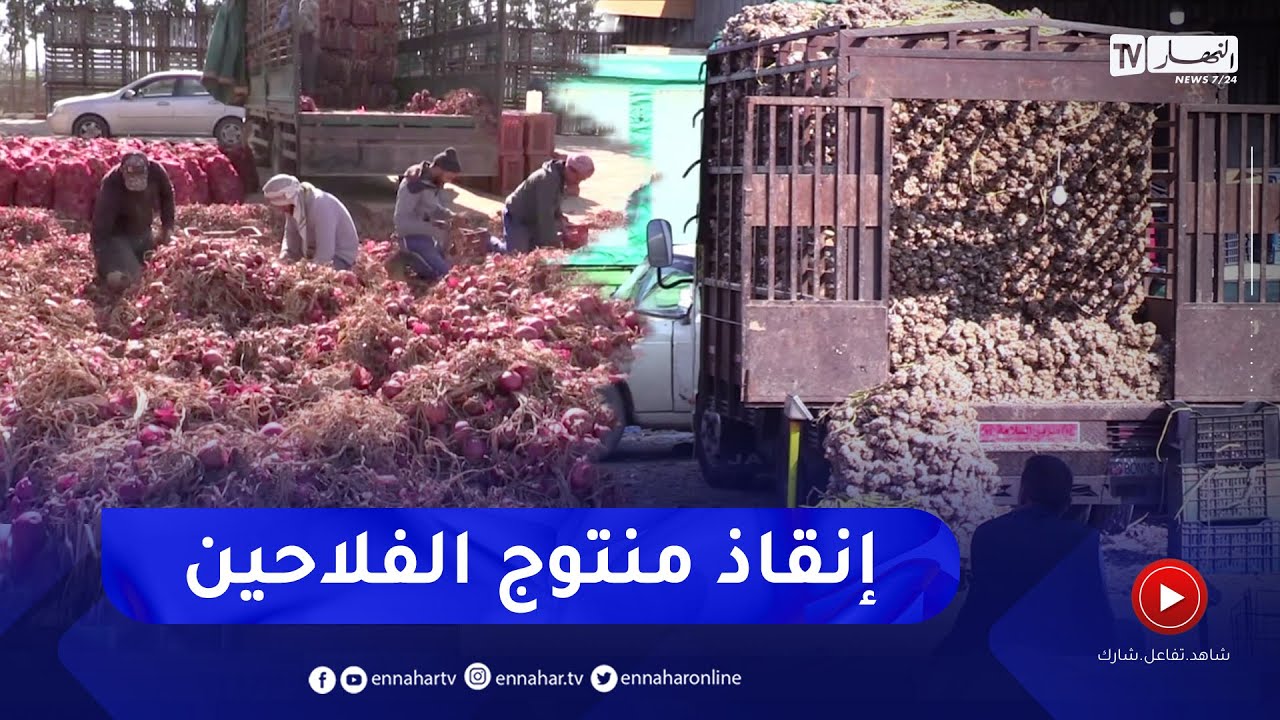 فلاحة: تسويق فائض المنتجات الفلاحية.. مطالب بإيجاد آليات ناجعة