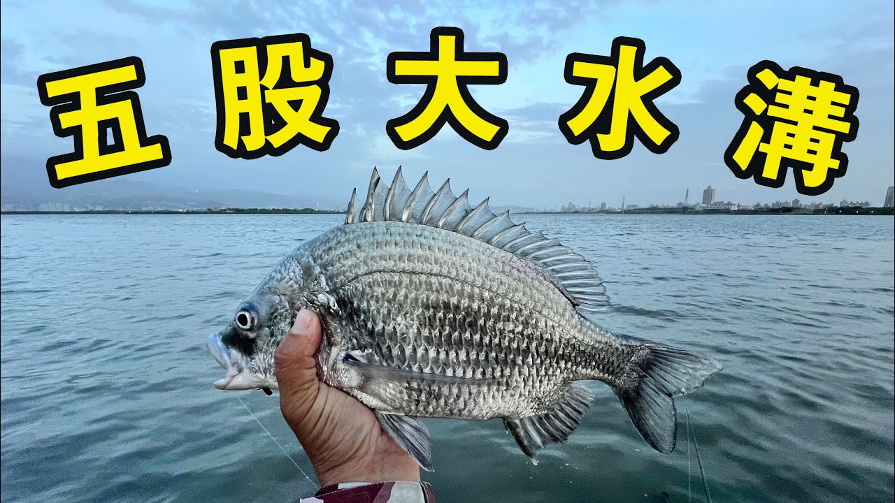 五股大水溝