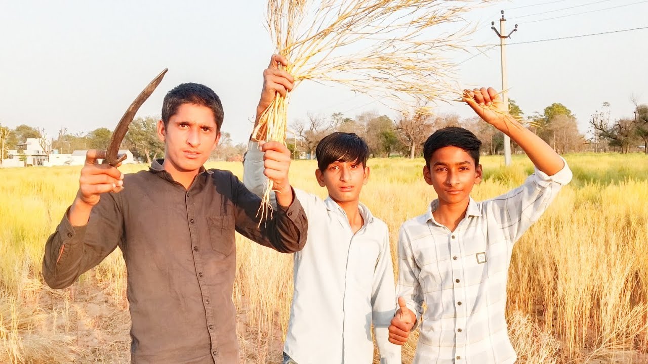 #minivlog #aaj ham kya krenge