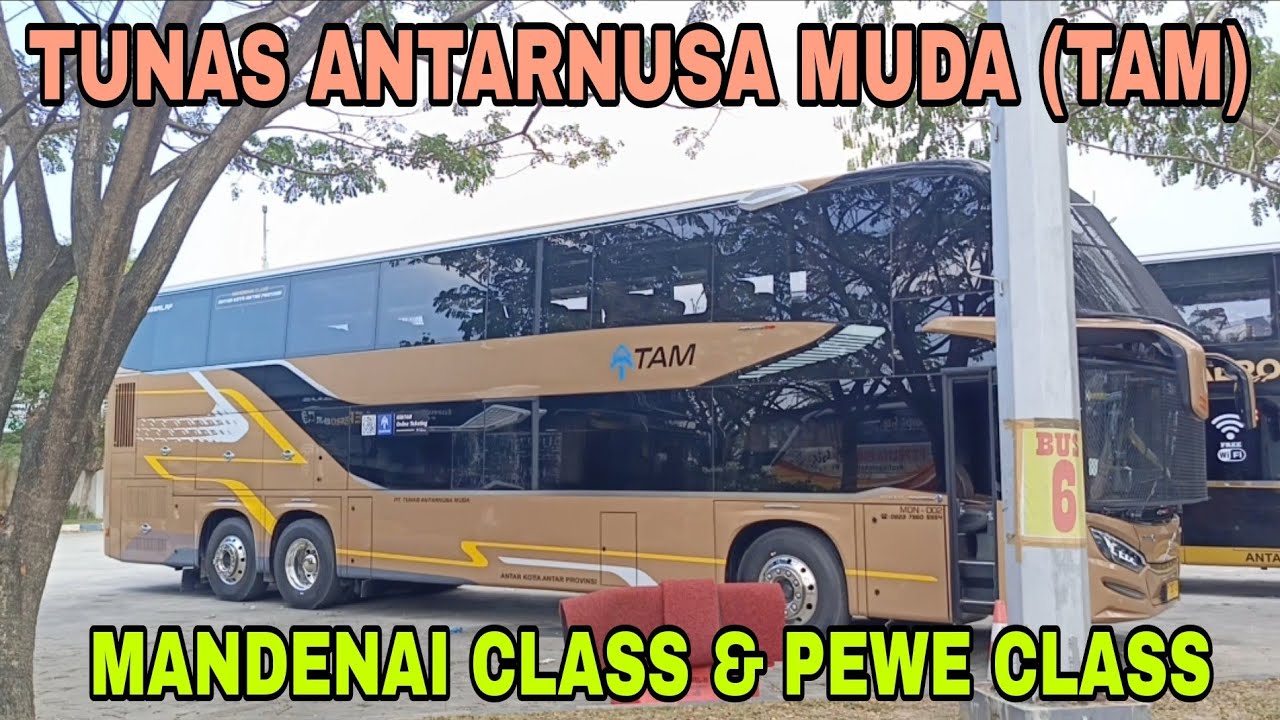 PERSAINGAN SEMAKIN SENGIT - Bus TAM Pendatang Baru Buka Rute Medan-Pekanbaru. 