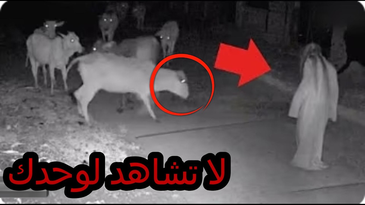 لقطات رعب غامضة صورتها كاميرات المراقبة ...   لن تصدق ما حدث !😱