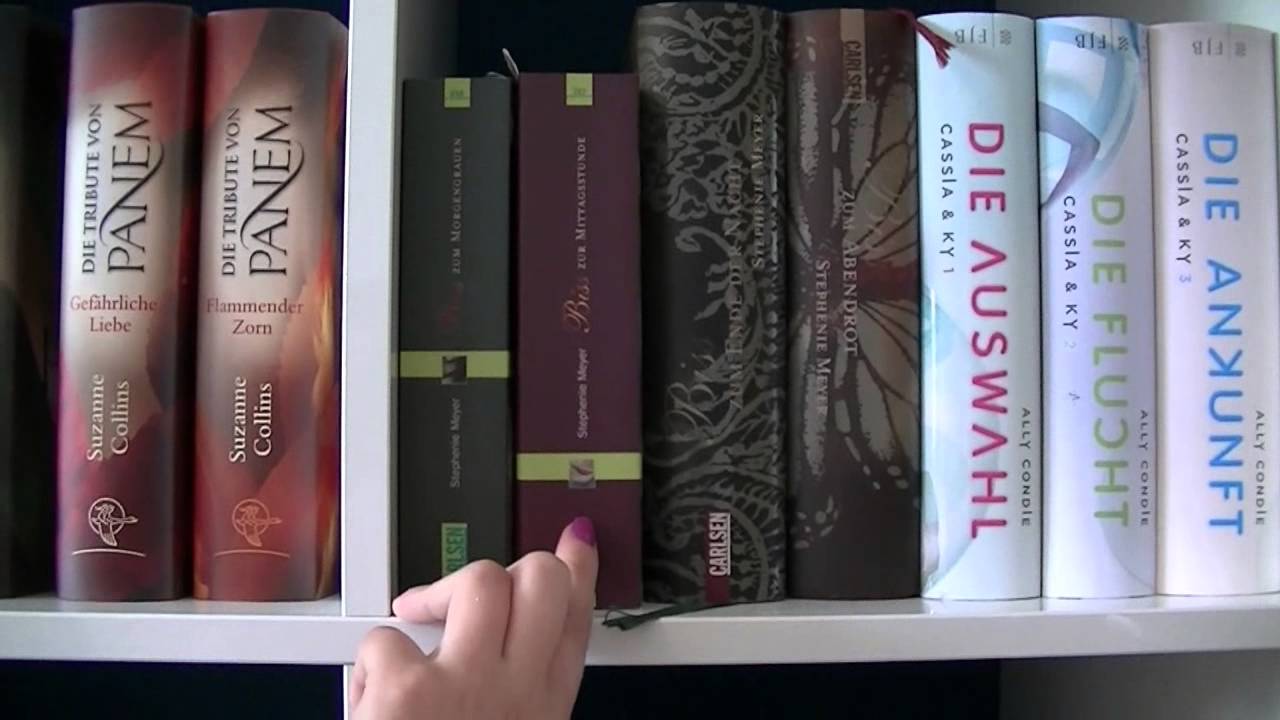 Meine Büchersammlung/Das habe ich gelesen