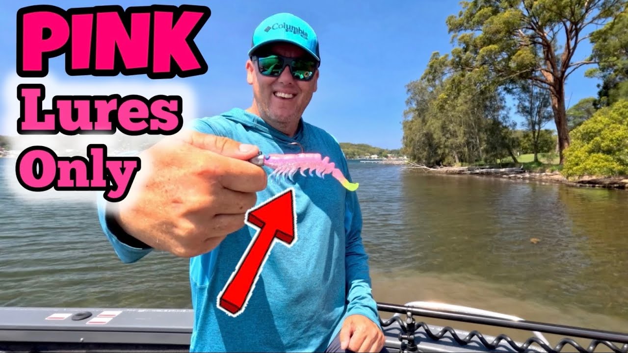 Using Only Pink Lures to get a Feed !!