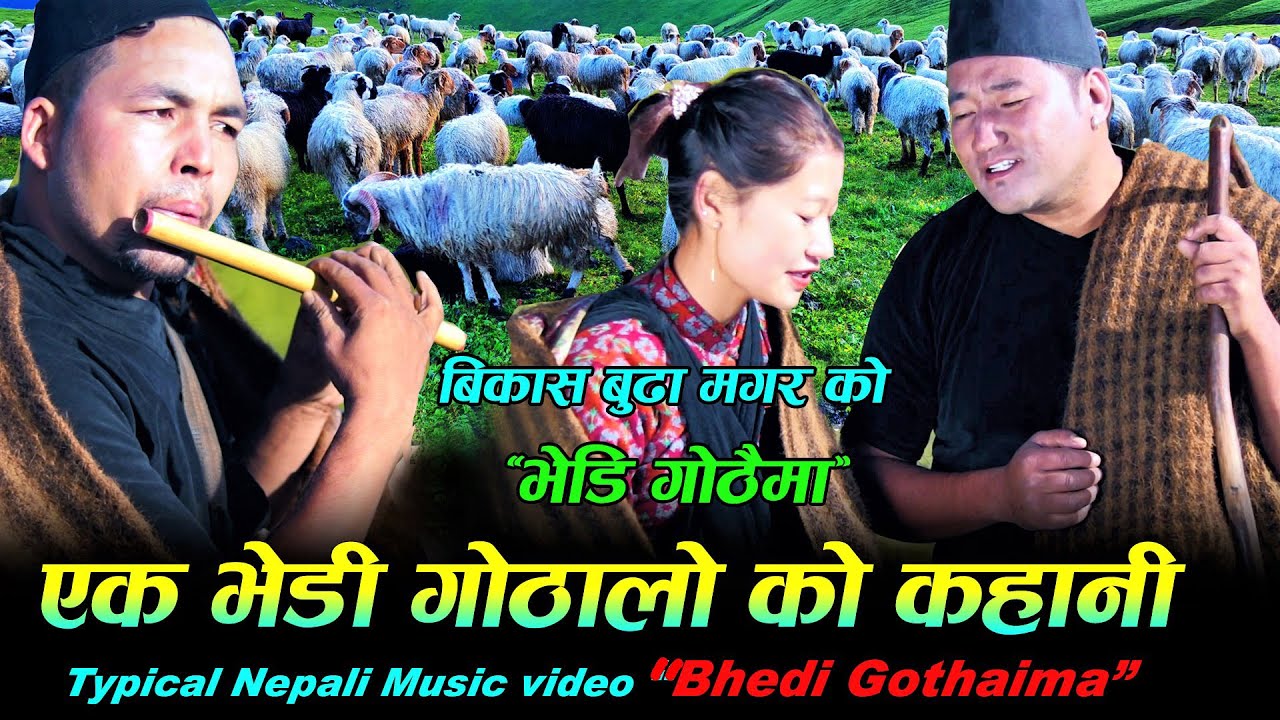 भेडी गोठालाको वास्तविक जीवनसँग आधारित मौलिक गीत भेडी गोठैमाTypical Nepali Music Video Bhedi Gothaima