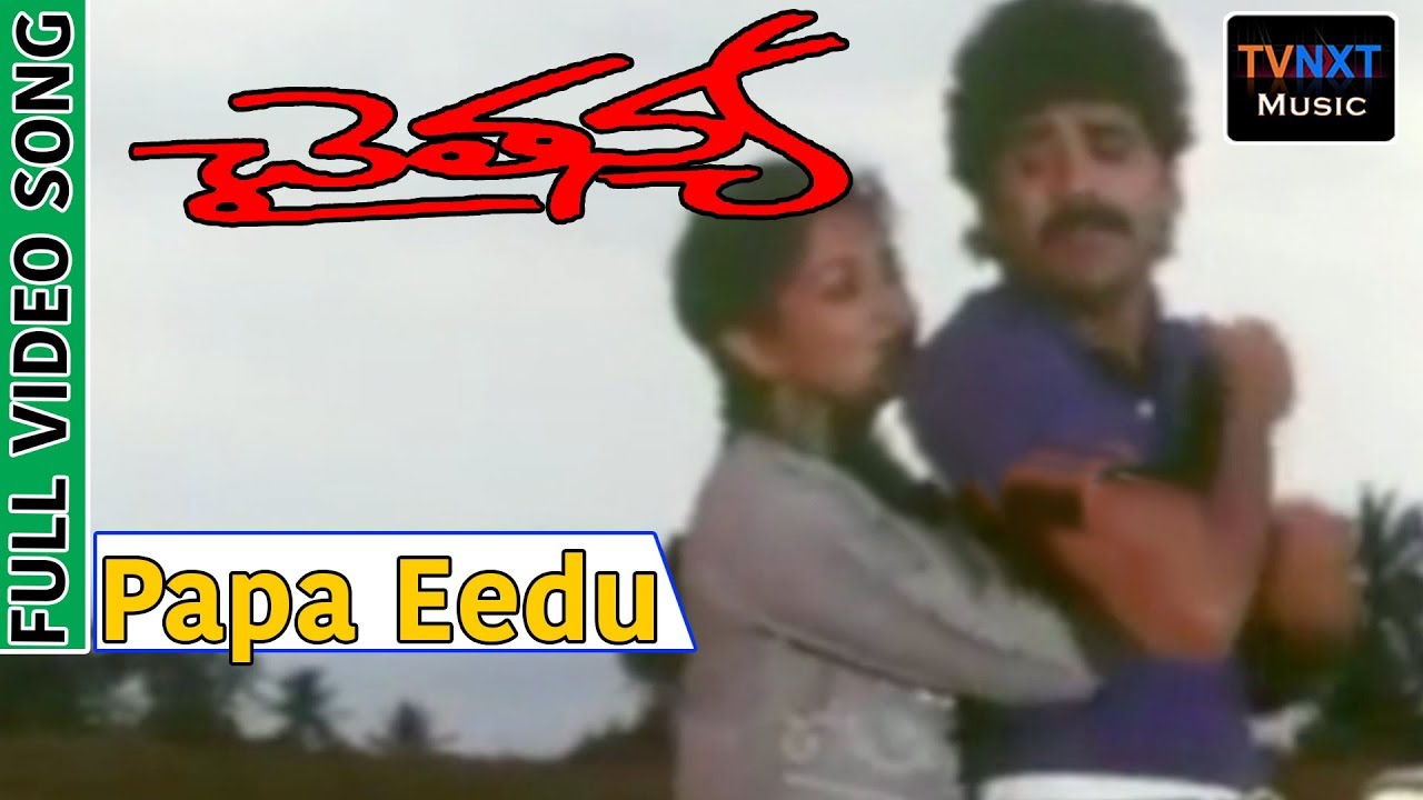 Chaitanya Movie Songs |  Papa Eedu Gola Song | Nagarjuna | Gautami |VEGA Music