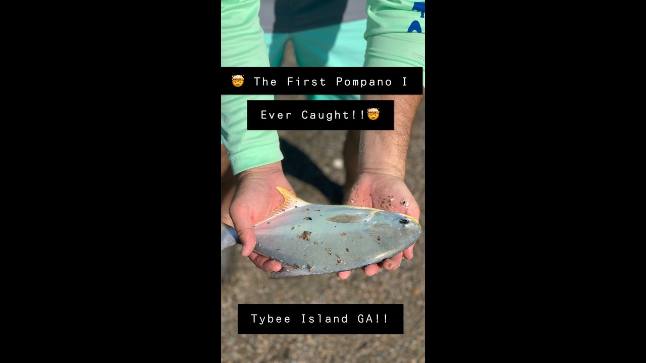 Catching Pompano Surf Fishing Tybee Island GA!! MOA Fishing