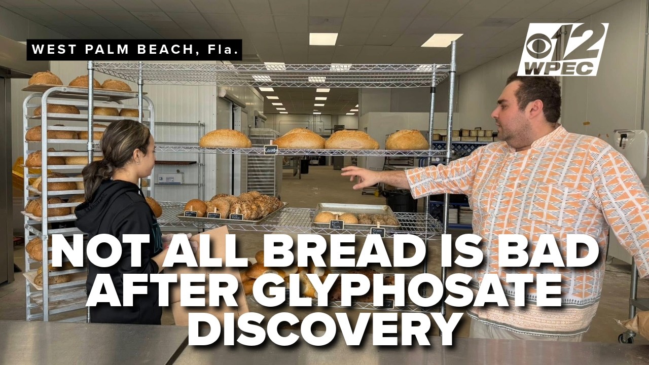 Florida testing finds triple-digit levels of weed killer chemicals in popular bread brands
