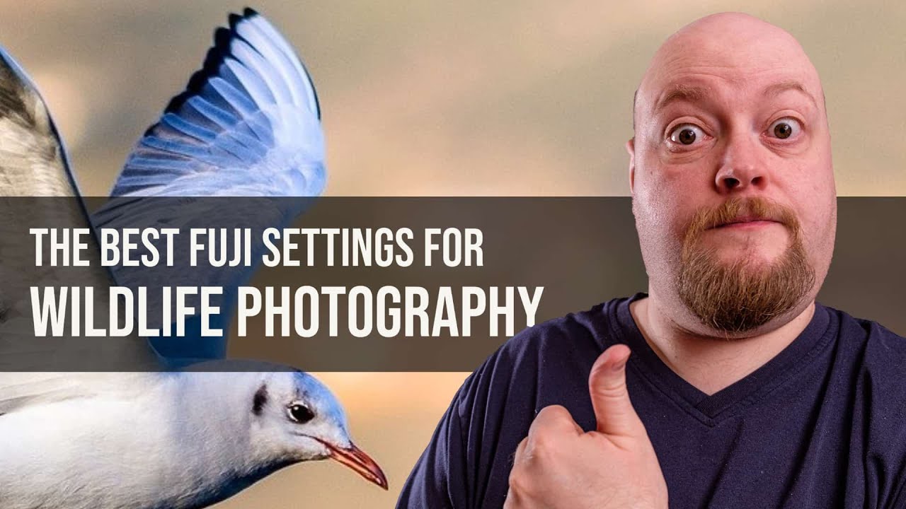 Каковы наилучшие настройки для фотосъемки дикой природы с помощью системы Fuji XT?