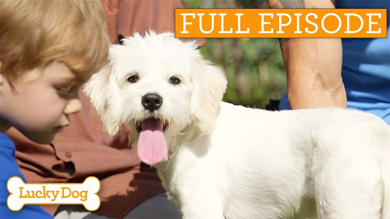 Cutest Puppy Prescription For Anxious Boy | Full Episode S2 Ep5