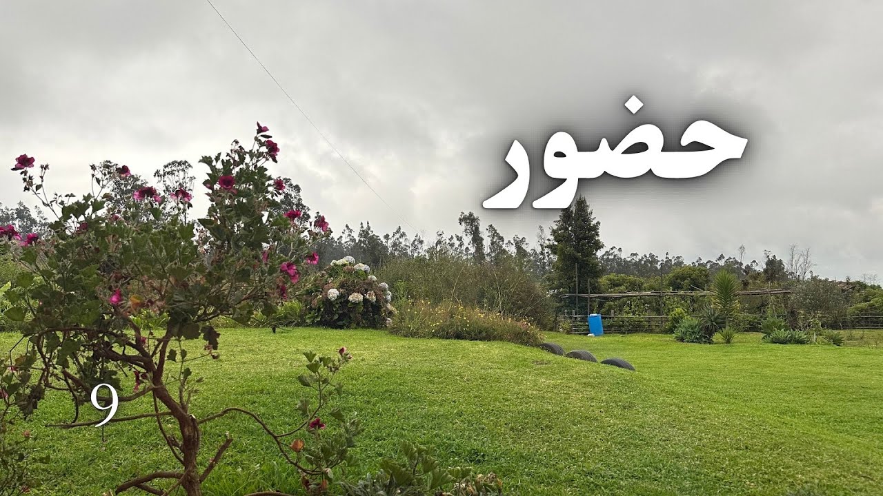 انتخابِ حضور برای آزادی