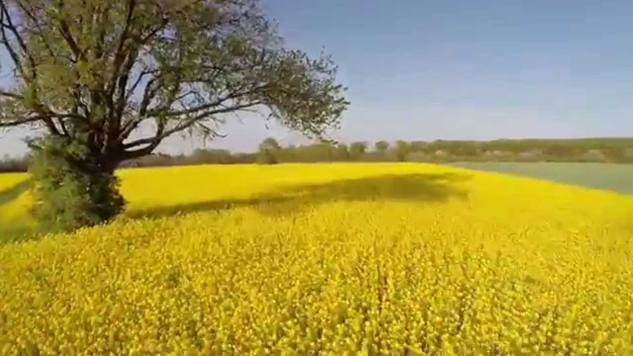 FPV Flug, 'Rapsody' in Neu-Malsch...