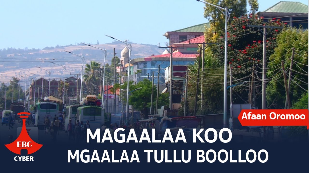 MAGAALAA KOO - MGAALAA TULLU BOOLLOO  23/05/2015