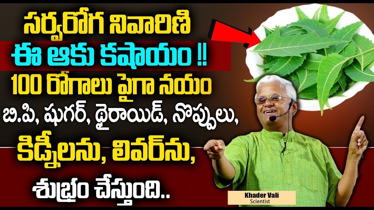 సర్వరోగ నివారిణి ఈ ఆకు వ్యాధులు అన్ని నయం | Total Body Detoxification | Khader Vali | Sumantv