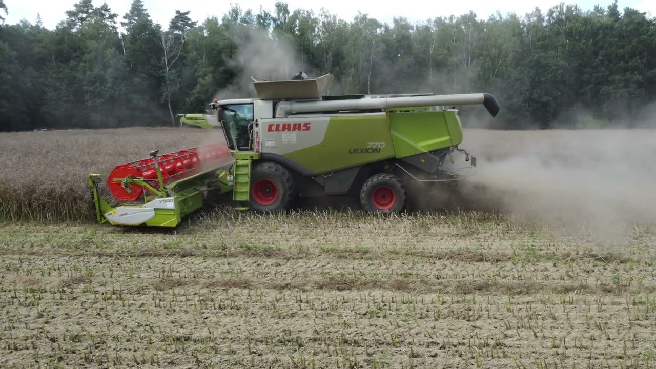 Akcja rzepak żniwa 2024 class lexion Agrifarm