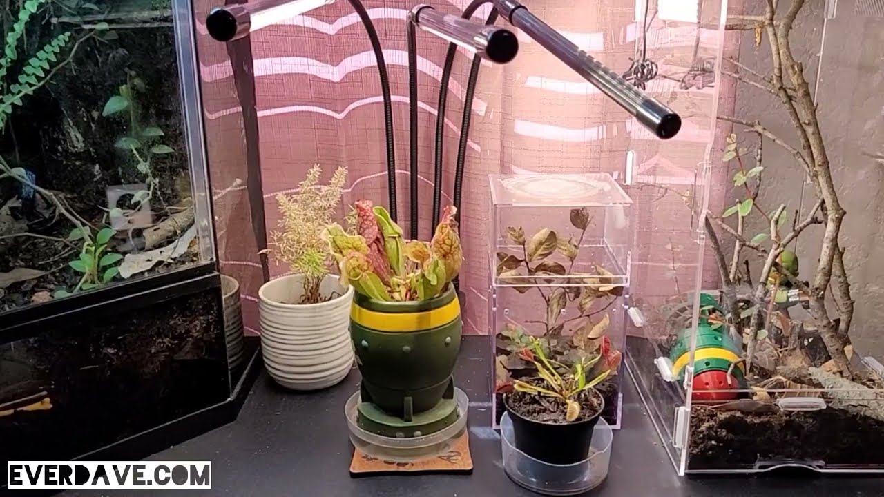 LED Full Spectrum 3500K Eisemgou 4 head Grow Light - #review #firstlook