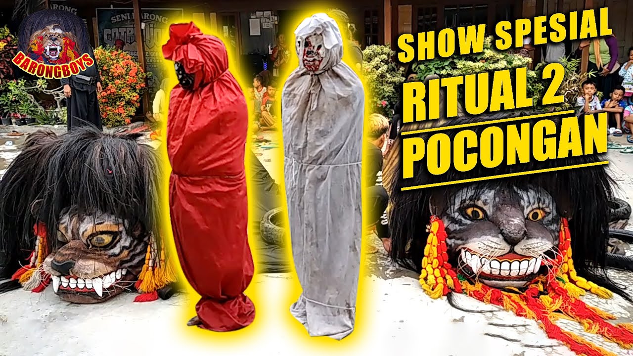 SHOW SPESIAL !! RITUAL 2 POCONGAN !! Barongan Satrio Joyo Bugel Live Anggaswangi || BarongBoys