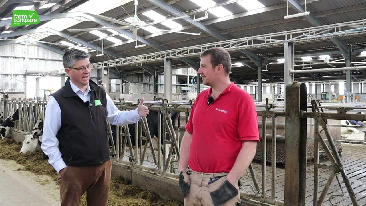 smaXtec Farmer Review Hollybank Farm