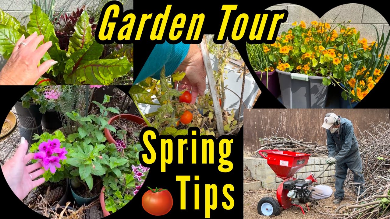 Garden Tour FULL of Tips for Pest Control, Growing Vegetables Tomatoes Lettuce & Container Gardening