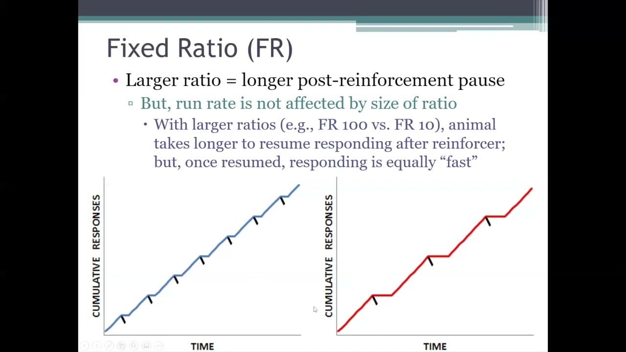 PSYC 370 Video Lecture - The Fixed Ratio (FR) Schedule of Reinforcement