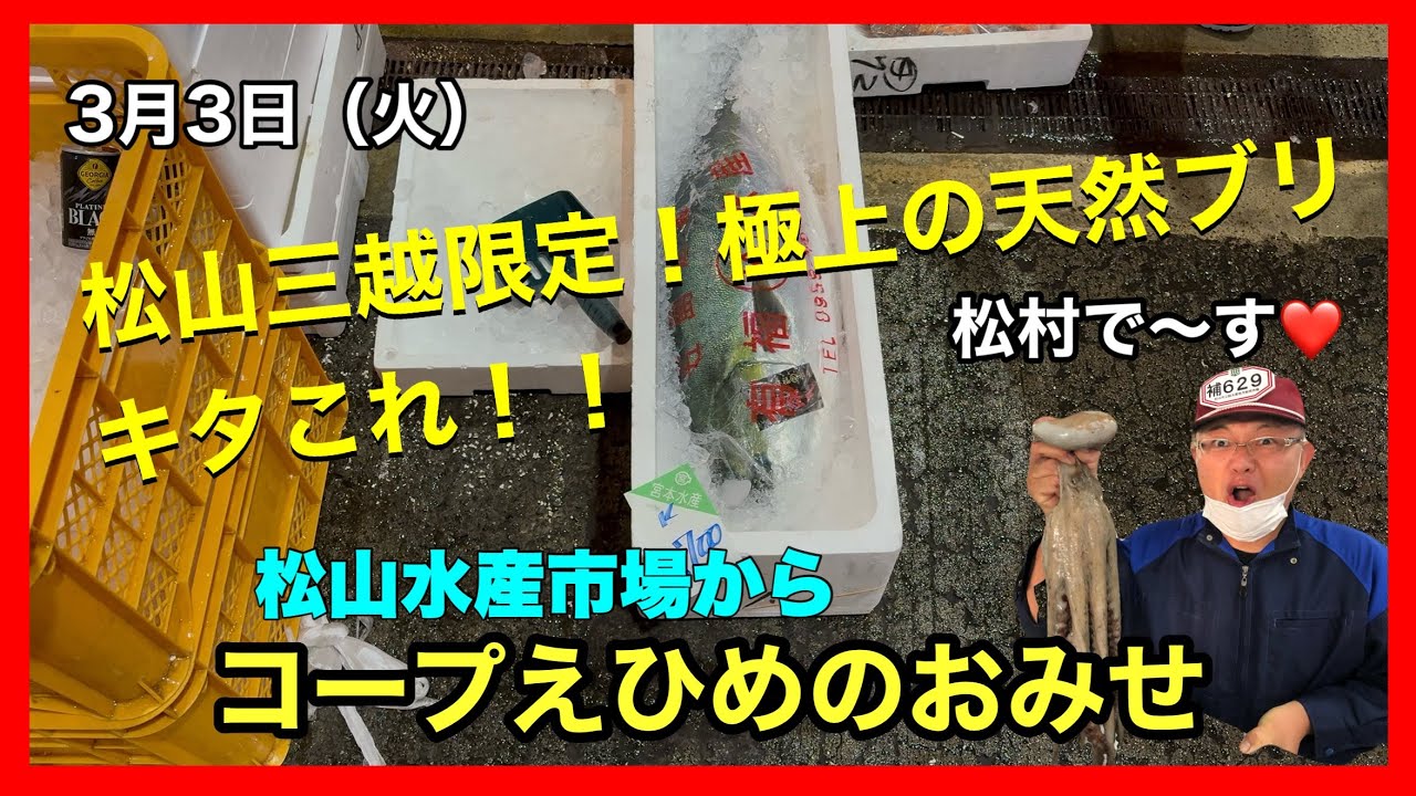 松山市 新居浜市 今治市 スーパー おすすめ 野菜 魚 肉 惣菜 新鮮 安い 品揃えがいい　　#瀬戸内海の魚　#コープえひめ　#松山水産市場
