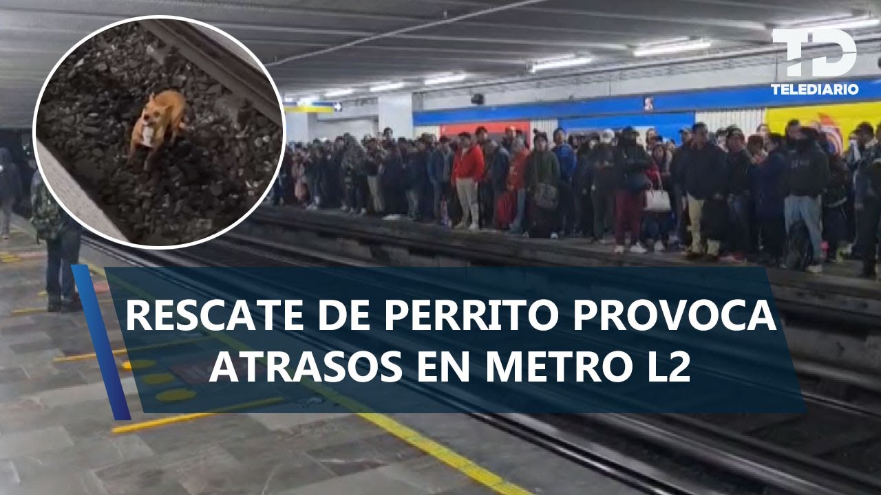 Rescate de perrito provoca retrasos y caos en la l&iacute;nea 2 del Metro CdMx