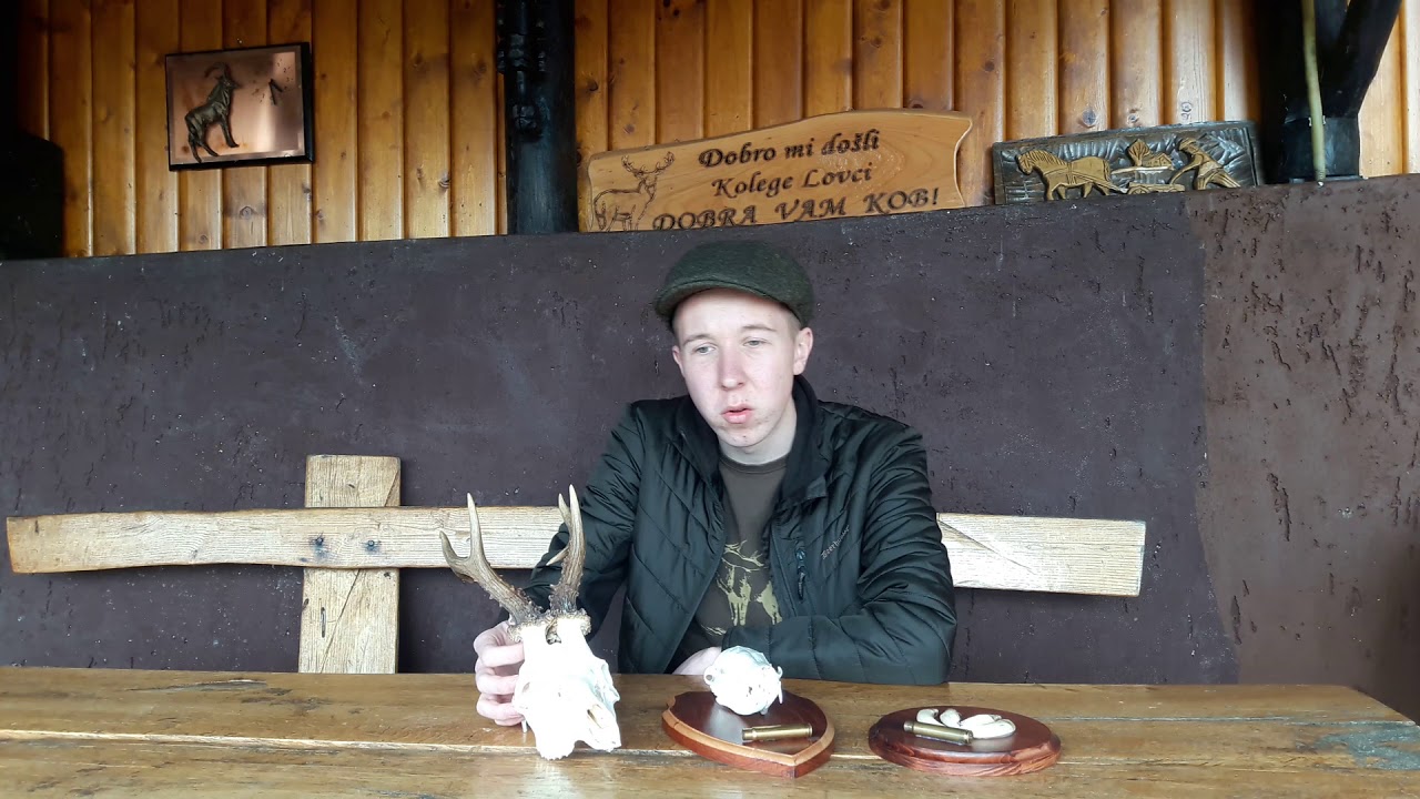Lovačke trofeje i uspomene/ Hunting trophys