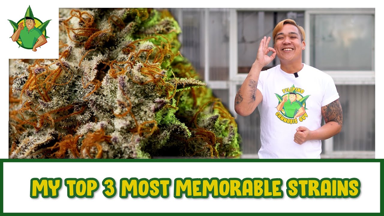 Filipino Cannabis Guy - My Top 3 Most Memorable Strains