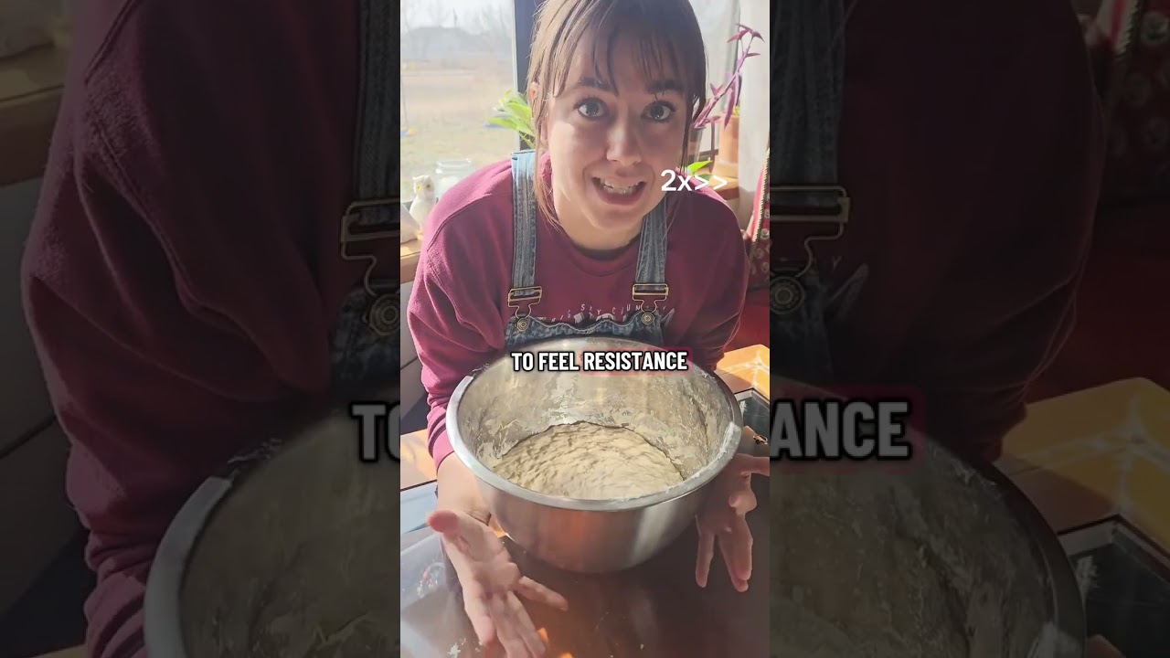 Making a Loaf of Sourdough, Start to Finish!
