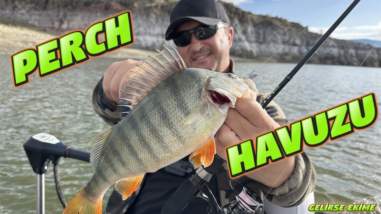 Perch Havuzunda Aji Keyfi.Üç Saniyede Bir Perch.Çamura Rağmen Botu Suya Attık.Perch Balık Avı…