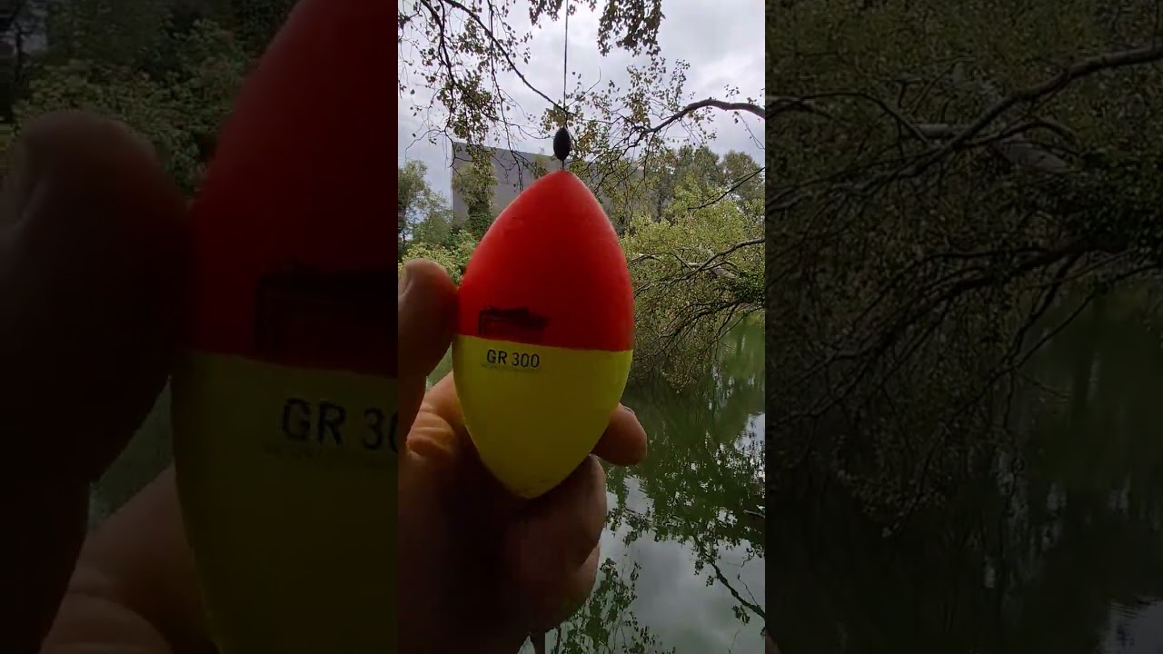 Montura pentru somn cu peste viu. Montura ideala pentru pescuit la somn cu peste mic.
