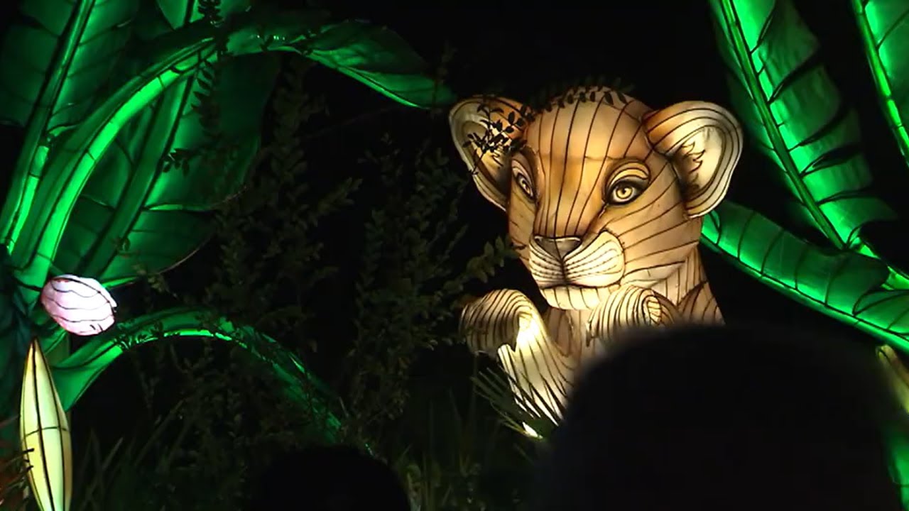 L.A. Zoo Lights Returns for 2025 With New Displays and Returning Favorites