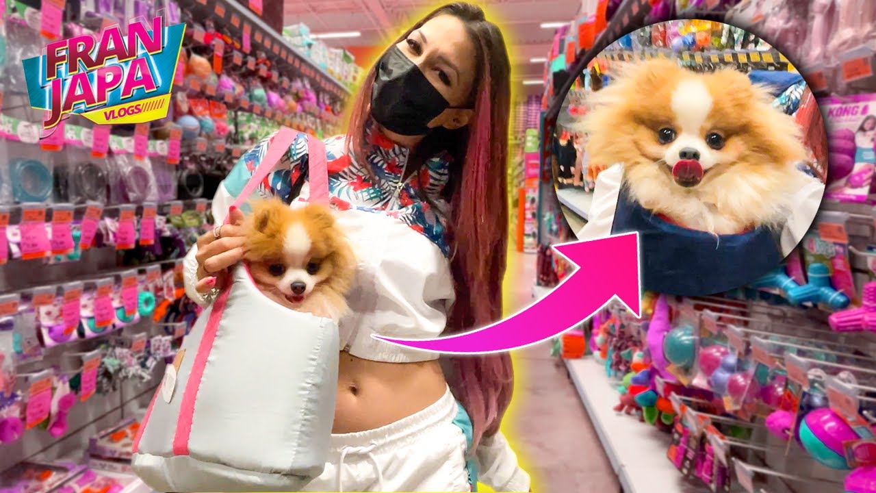 A PROCURA DA BOLSINHA PRO ROBERT !!! - Fran Japa