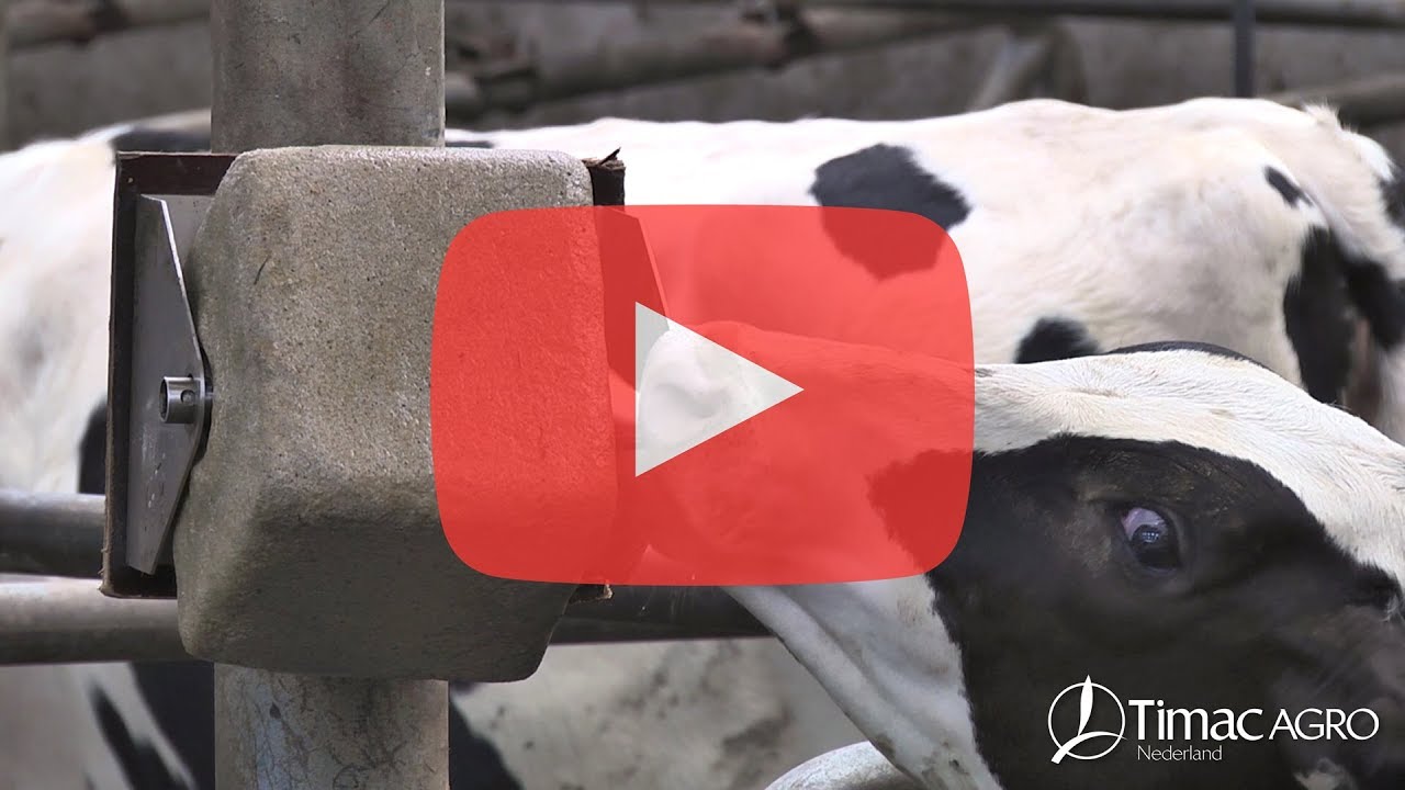 Timac Agro Animal Nutrition | Gebruikerservaringen Van der Vaart (NL)