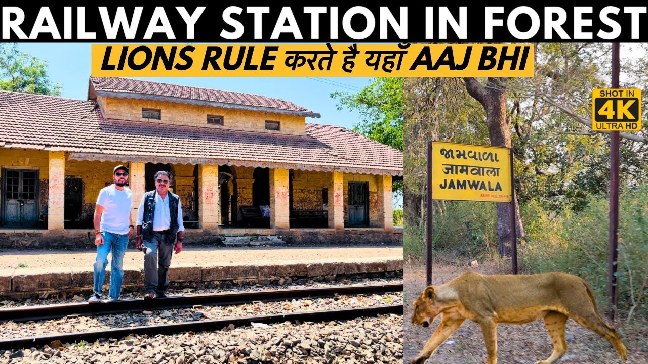 Railway Station In Gir National Park जहां Lions Rule करते है - Jamwala Station In Gir Forest.