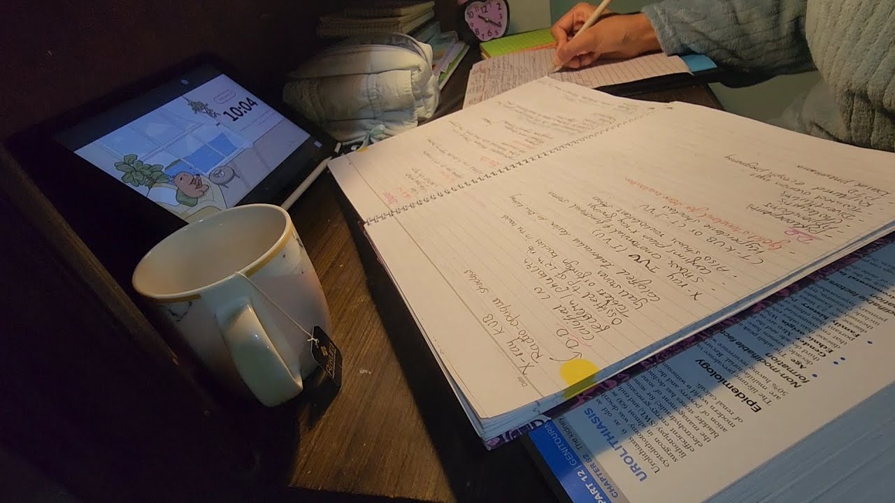 80-Minute Study Session with Lofi Music & Timer ⏰📚