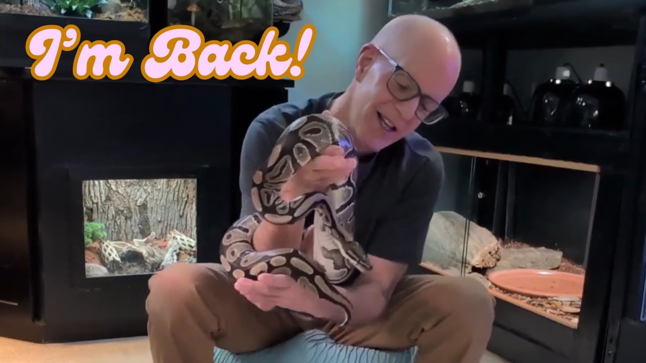 A Channel Update...Plus...a New Snake!