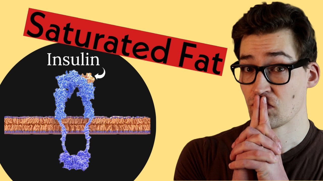 Saturated Fat's Role in causing Insulin Resistant Muscle [Study 27]