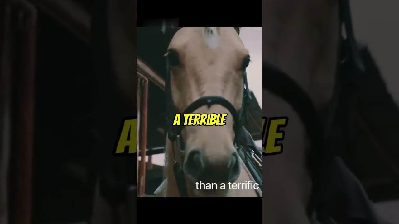 Investing in the Long Shot: Picking the Right Horse in a Handicap Race