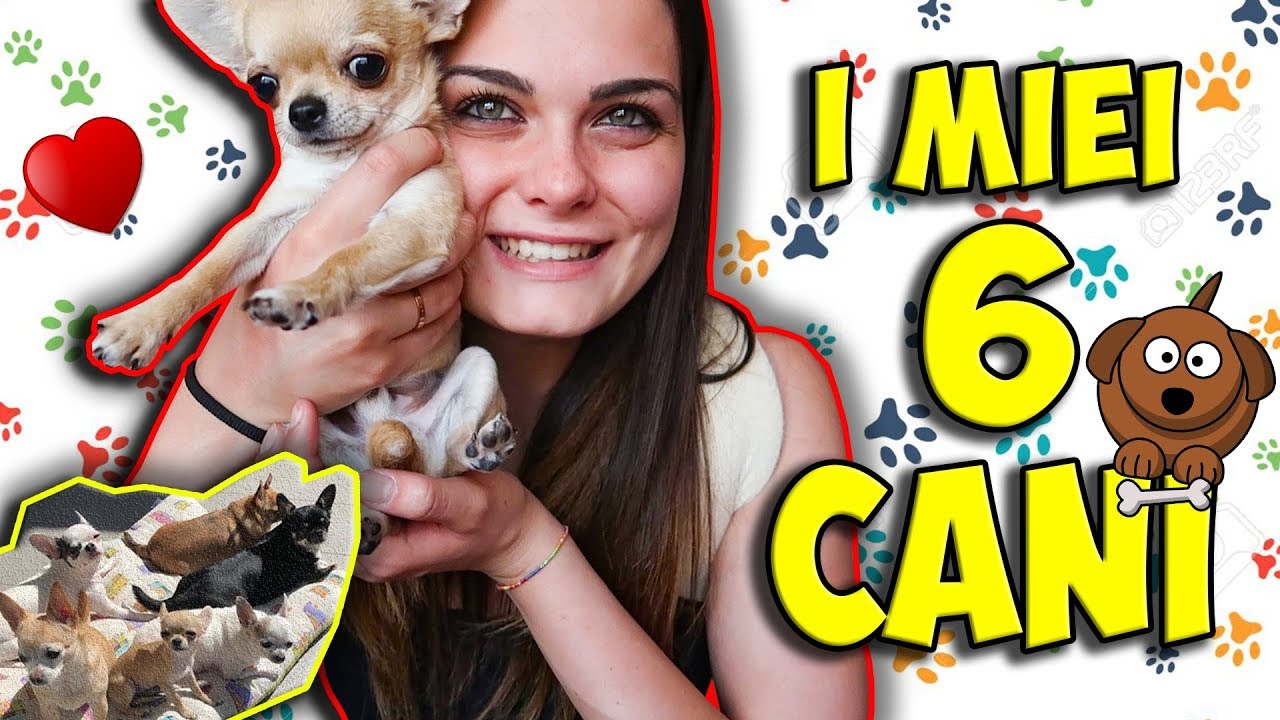 #ANIMALTAG divertente!! I miei CANI ❤