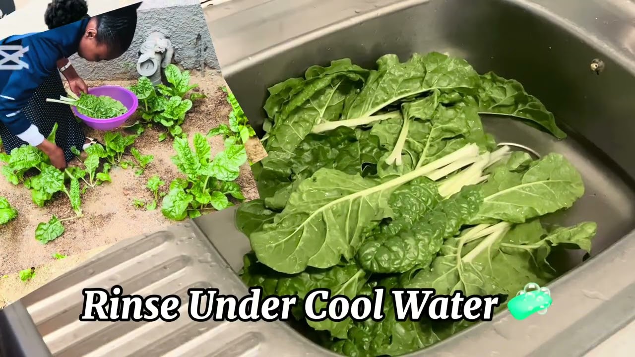 Backyard Spinach Harvest to Husband’s Quick Meal | Fresh Garden Veggies, Stew & Pap! 🌿🍲