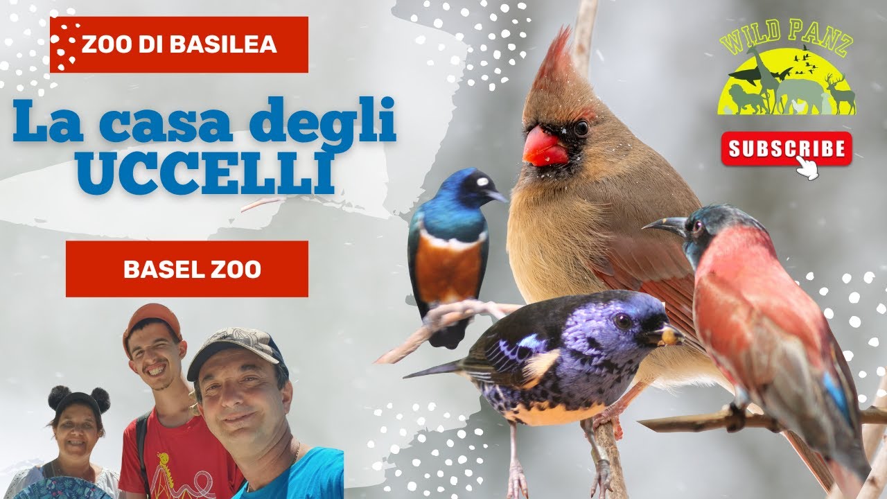 LA CASA DEGLI UCCELLI allo ZOO di BASILEA #animals #zoo #travel #parks #animaux #animali #nature