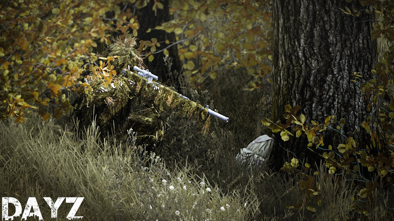 Выслеживаю читеров каждый день - DAYZ