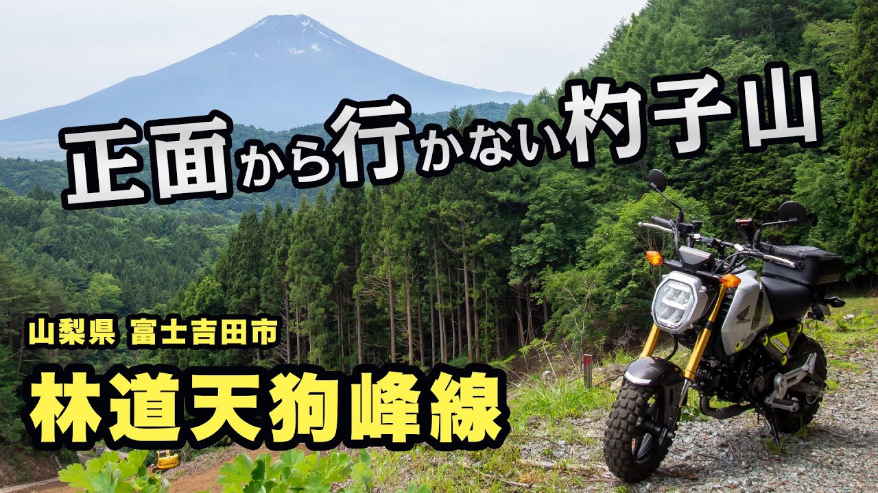 林道天狗峰線 正面から行かない杓子山【ツーレポ】【モトブログ】【motovlog】【林道】