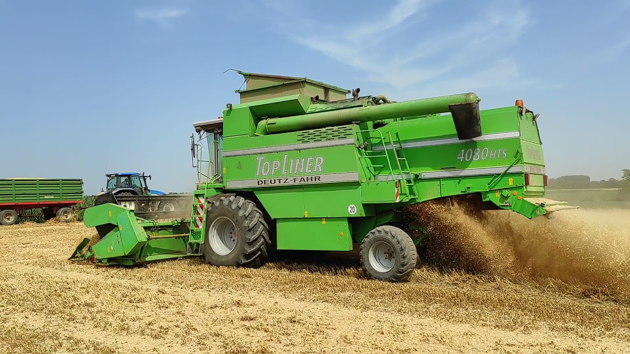 Žetva graška 2021.|DEUTZ - FAHR TOPLINER 4080 HTS