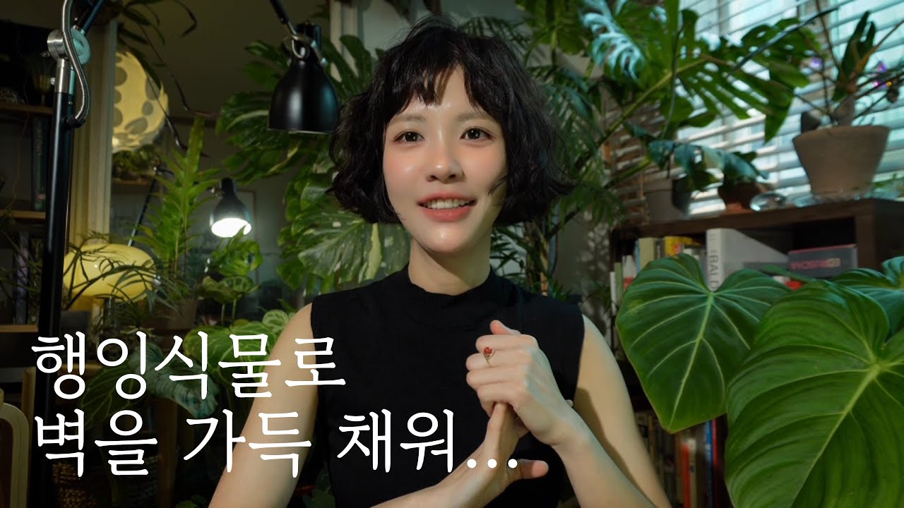 여름맞이 목부작으로 플랜테리어 필수 아이템 행잉식물 만들기🍃 | 식물마다 다른 부작방법과 관리꿀팁 소개까지🪜