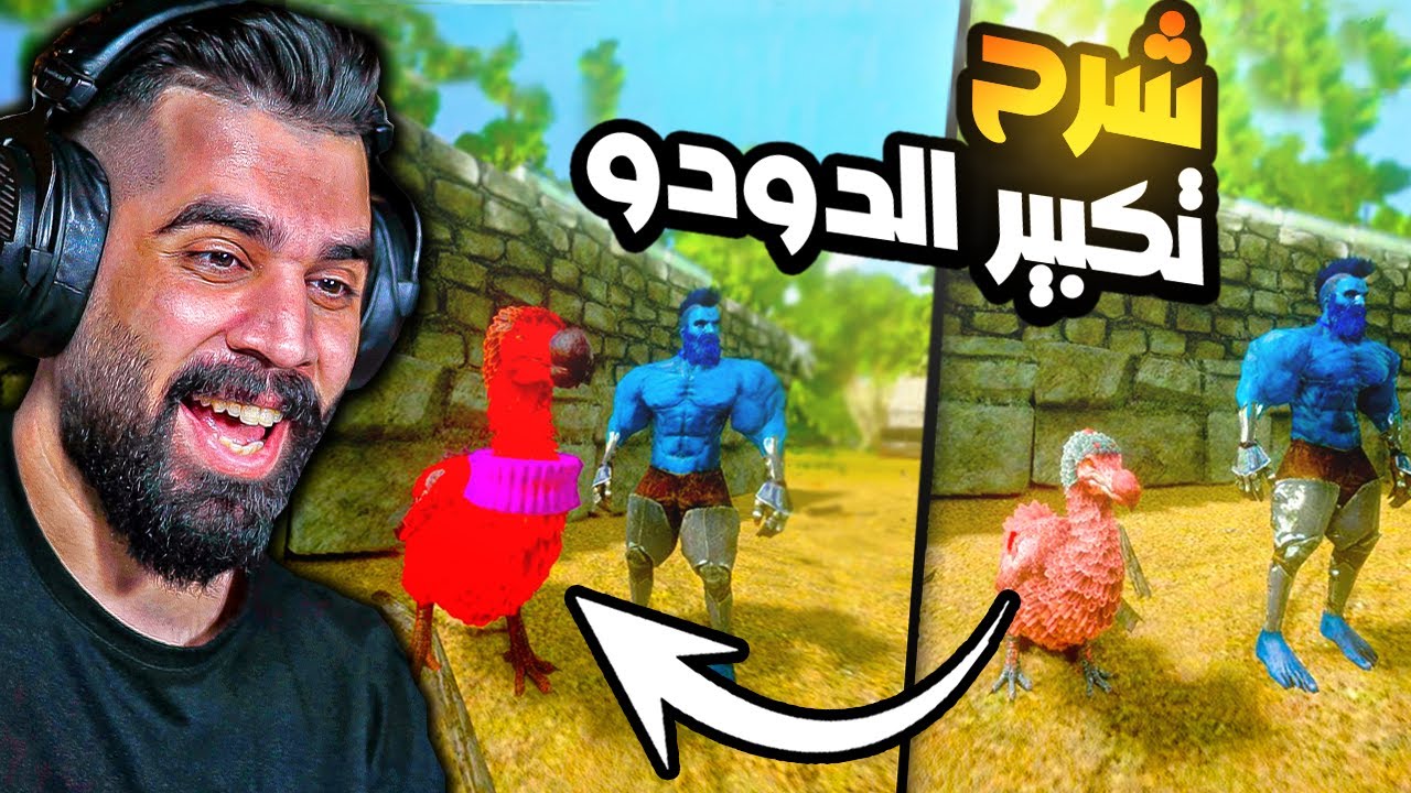 ارك موبايل | شرح طريقة تكبير الدودو ويصير تقدر تركبة 😍🔥 ARK Mobile